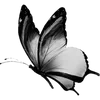 🦋 Эмодзи «ఎ Ɗᥱᥲᴛɦ ໒» для Telegram