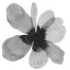 🌸 Эмодзи «ఎ Ɗᥱᥲᴛɦ ໒» для Telegram