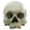 💀 Эмодзи «death pack» для Telegram