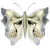 🦋 Эмодзи «death pack» для Telegram