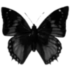 🦋 Эмодзи «death pack» для Telegram