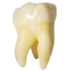 🦷 Эмодзи «death pack» для Telegram