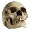 💀 Эмодзи «death pack» для Telegram