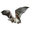 🦇 Эмодзи «death pack» для Telegram