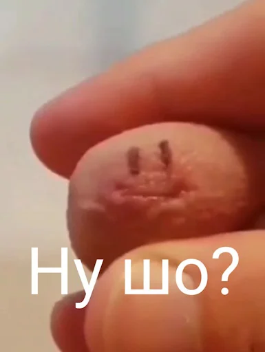 😏 Стикер «Лол кек чебурек» для Telegram