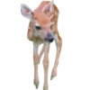 🦌 Эмодзи «Deers» для Telegram