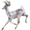 🦌 Эмодзи «Deers» для Telegram