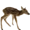 🦌 Эмодзи «Deers» для Telegram
