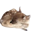 🦌 Эмодзи «Deers» для Telegram