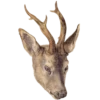 🦌 Эмодзи «Deers» для Telegram