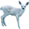 🦌 Эмодзи «Deers» для Telegram