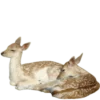 🦌 Эмодзи «Deers» для Telegram