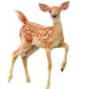 🦌 Эмодзи «Deers» для Telegram