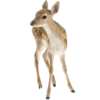 🦌 Эмодзи «Deers» для Telegram