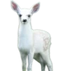 🦌 Эмодзи «Deers» для Telegram