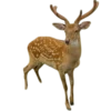 🦌 Эмодзи «Deers» для Telegram