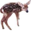 🦌 Эмодзи «Deers» для Telegram