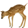🦌 Эмодзи «Deers» для Telegram