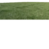 🦌 Эмодзи «Deers» для Telegram