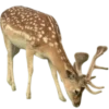 🦌 Эмодзи «Deers» для Telegram