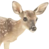 🦌 Эмодзи «Deers» для Telegram