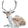 🦌 Эмодзи «Deers» для Telegram