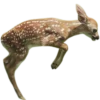 🦌 Эмодзи «Deers» для Telegram