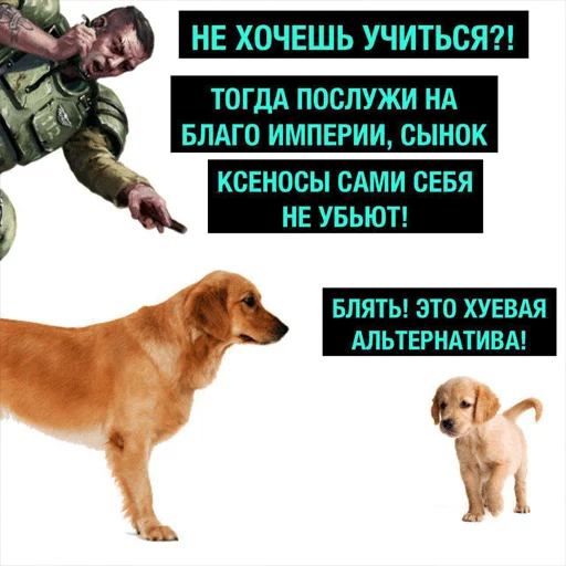 🐕 Стикер «Деграхаммер» для Telegram