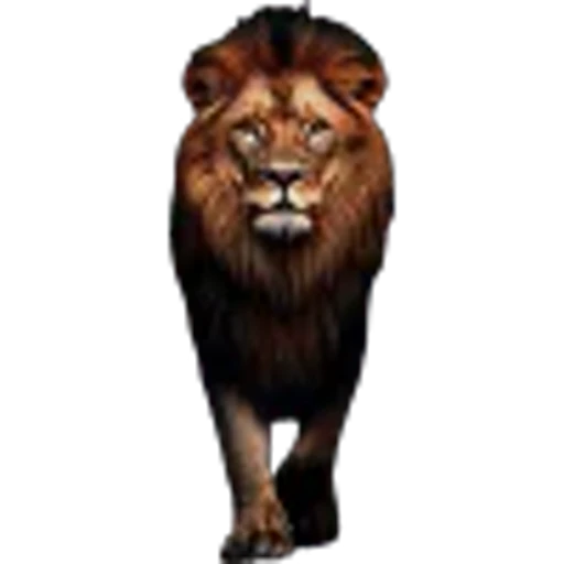 🌟 Эмодзи «Lion» для Telegram