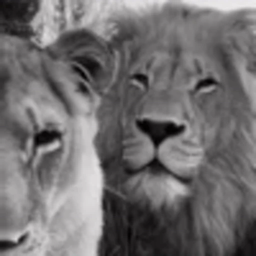 🌟 Эмодзи «Lion» для Telegram