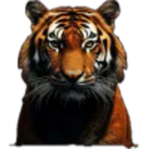 🌟 Эмодзи «Lion» для Telegram