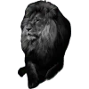 🌟 Эмодзи «Lion» для Telegram
