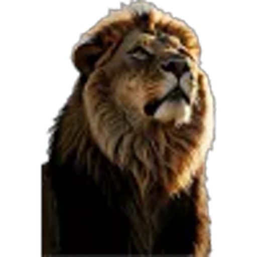 🌟 Эмодзи «Lion» для Telegram