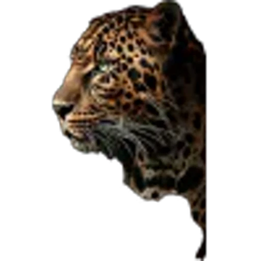 🌟 Эмодзи «Lion» для Telegram