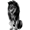 🌟 Эмодзи «Lion» для Telegram