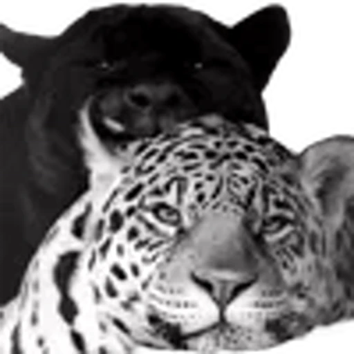 🌟 Эмодзи «Lion» для Telegram