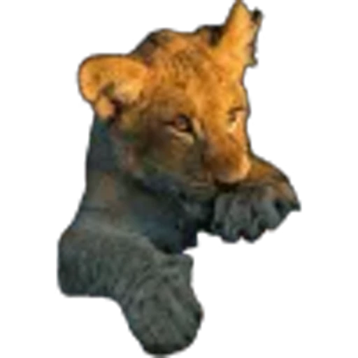 🌟 Эмодзи «Lion» для Telegram