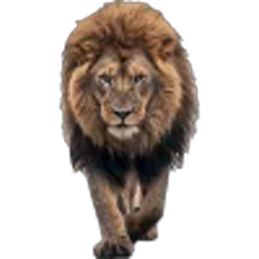 🌟 Эмодзи «Lion» для Telegram