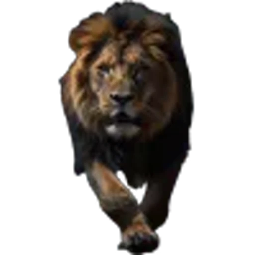 🌟 Эмодзи «Lion» для Telegram