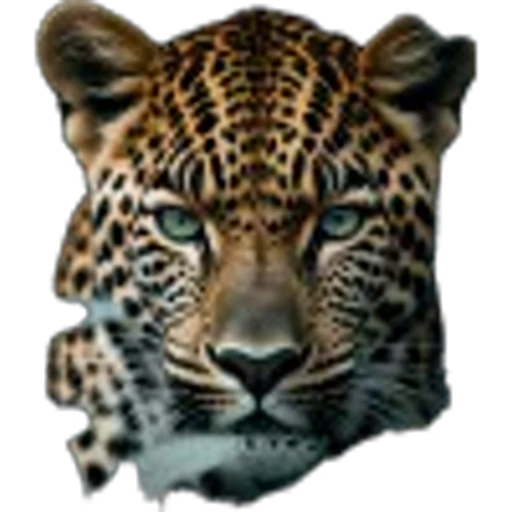 🌟 Эмодзи «Lion» для Telegram