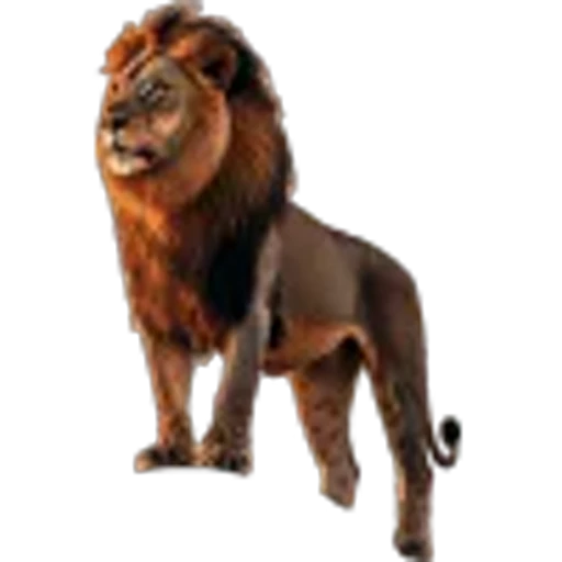 🌟 Эмодзи «Lion» для Telegram