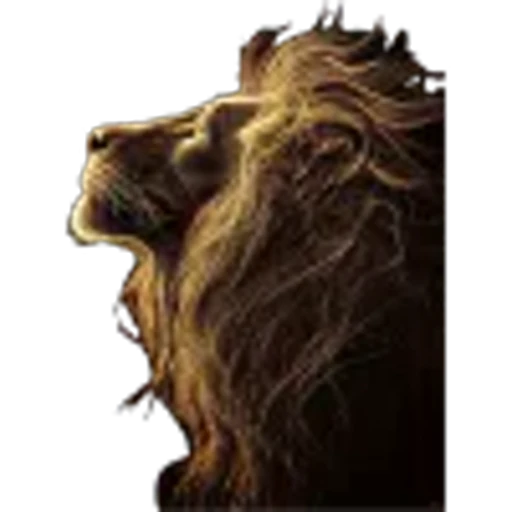 Стикерпак Lion для Telegram