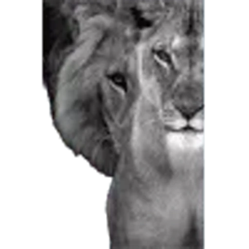 🌟 Эмодзи «Lion» для Telegram