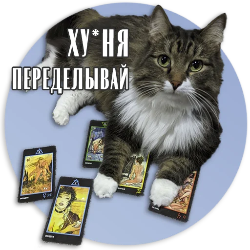 👎 Стикер «Таро Пак» для Telegram