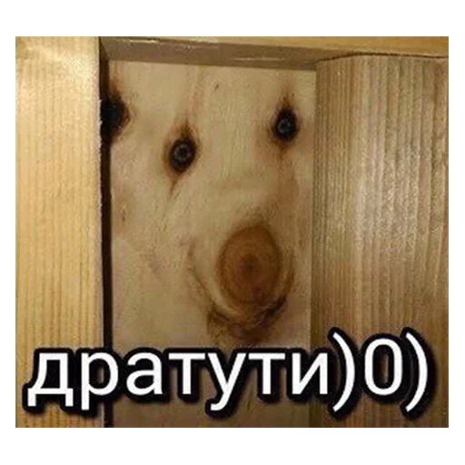 ✋ Стикер «DevRias» для Telegram
