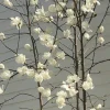 🐇 Эмодзи «different spring» для Telegram