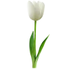 🐇 Эмодзи «different spring» для Telegram