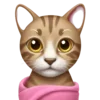 🐈 Эмодзи «Маришкин Пак» для Telegram