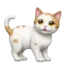 🐈 Эмодзи «Маришкин Пак» для Telegram