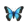 🦋 Эмодзи «Маришкин Пак» для Telegram